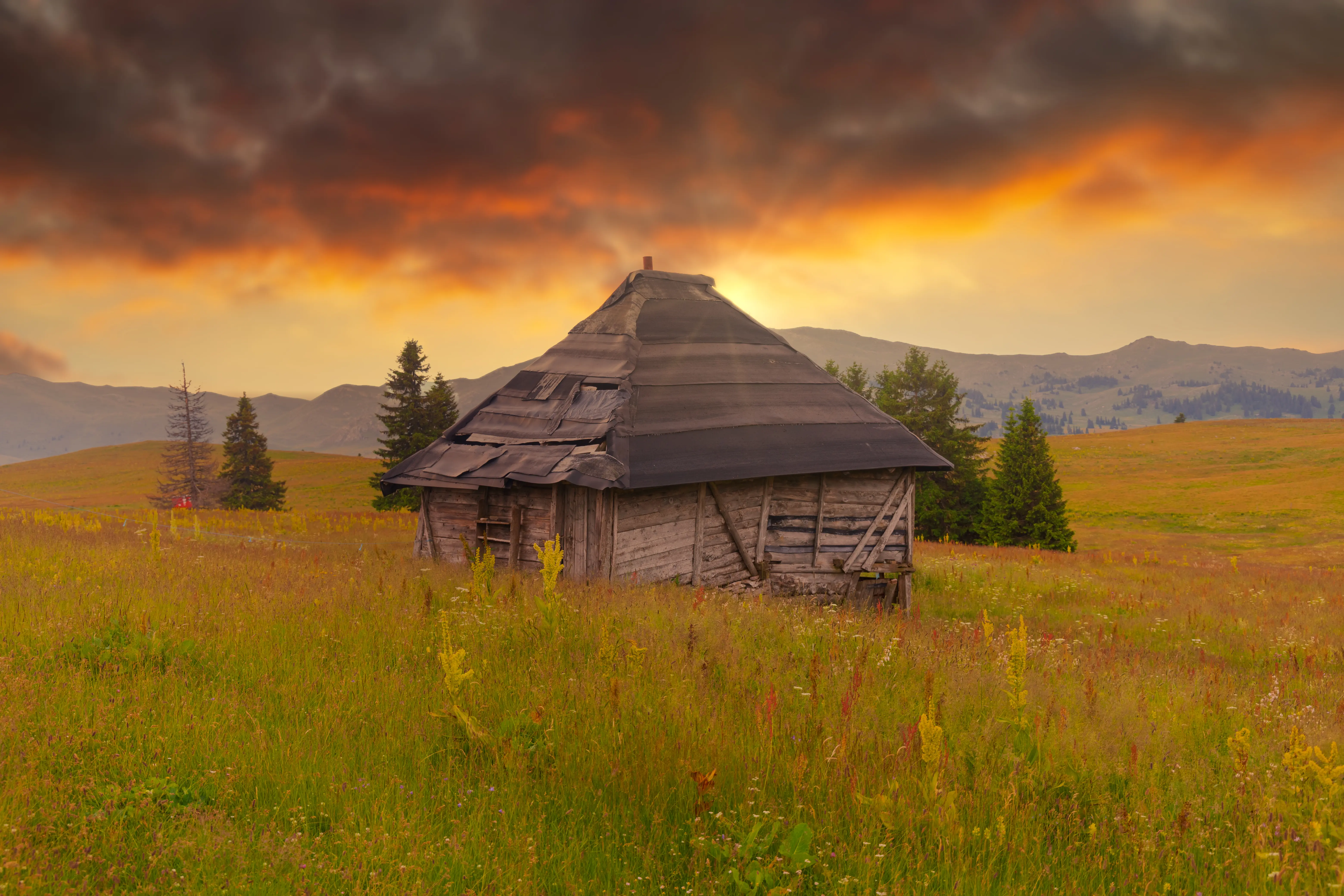 Remote wooden barn on a grassy hill during sunset in the Carpathian Mountains